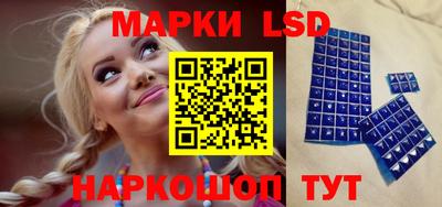 гидропоника Будённовск