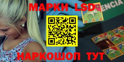 гидропоника Будённовск