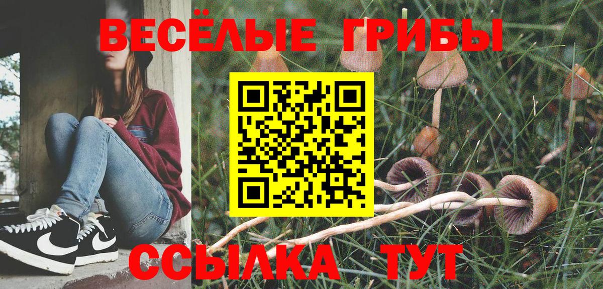 Нарьян-Мар  Галлюциногенные грибы ЛСД  Вход с VPN  Галлюциногенные грибы прущие грибы 